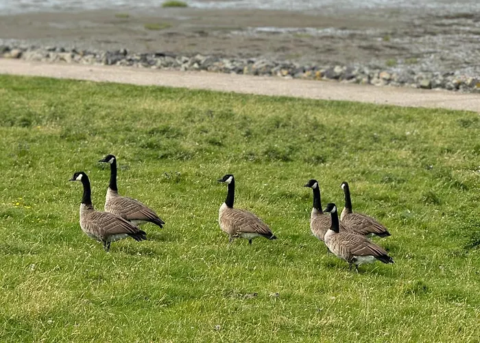 Luett Apartmán Ockholm
